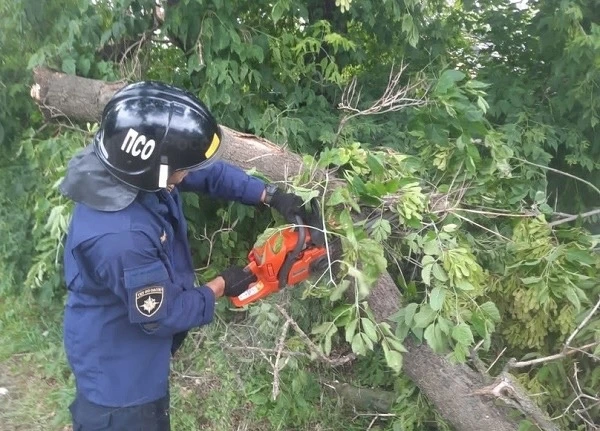 ❗В Орле спасатели ликвидировали последствия непогоды

Сотрудники МЧС Орловской области за сутки неск