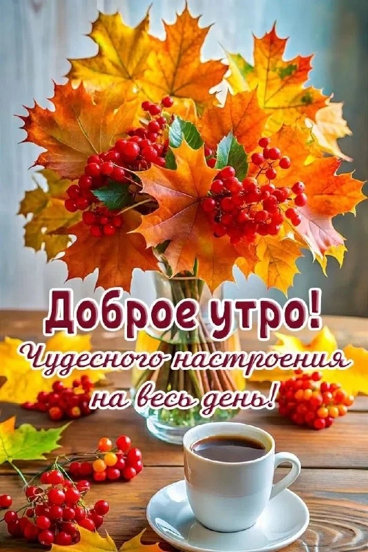 Открытки: подписаться ❤️