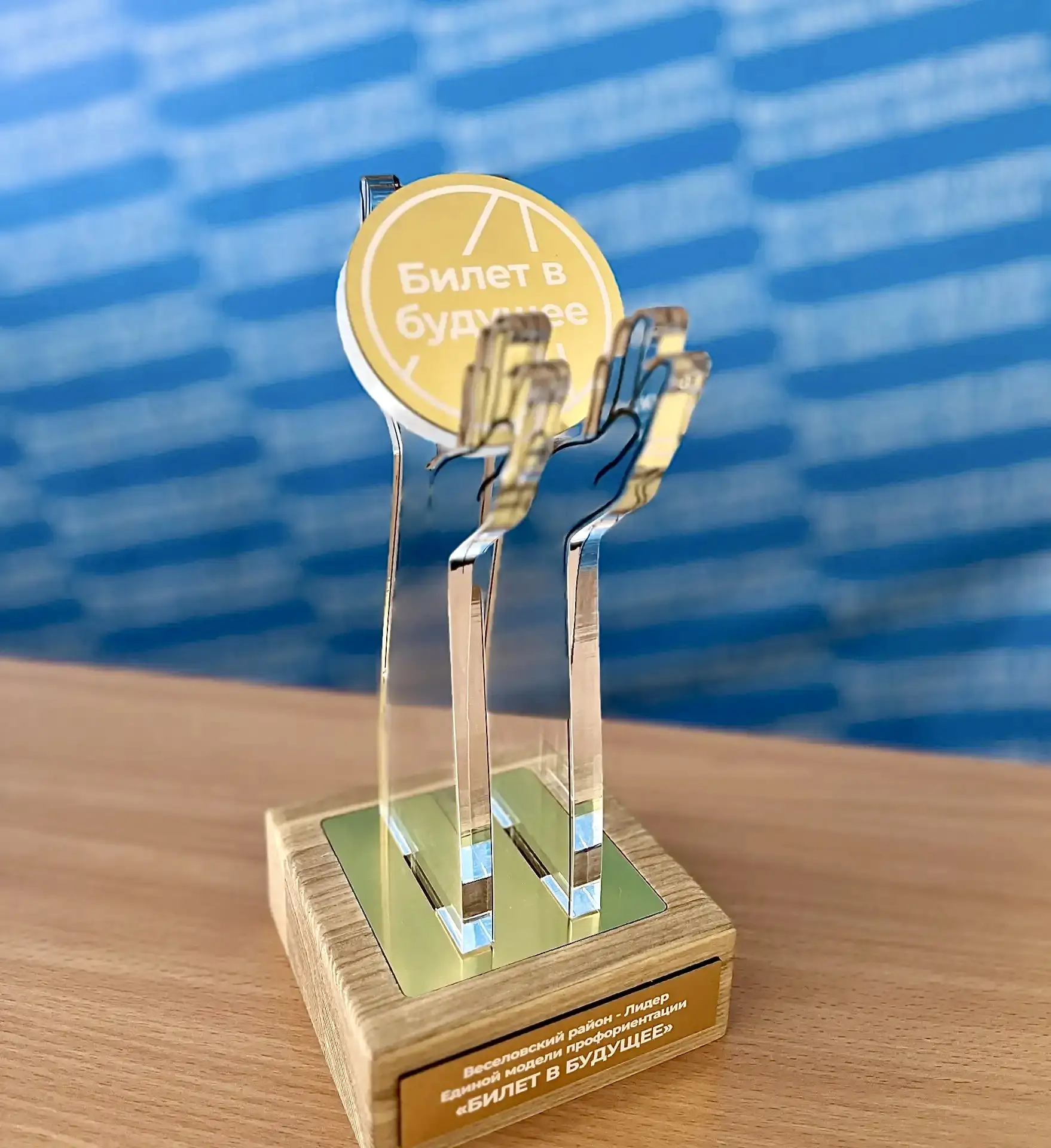 Веселовский район-Лидер Единой модели профориентации «БИЛЕТ В БУДУЩЕЕ».