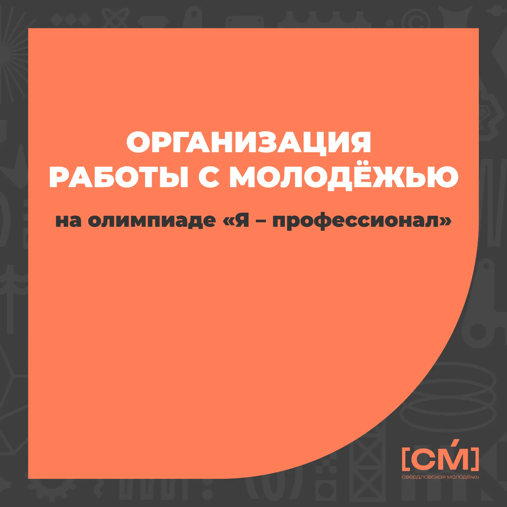 Организация работы с молодёжью на олимпиаде «Я – профессионал»