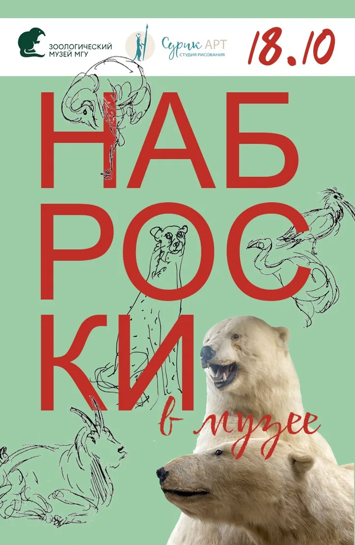 🐘 Арт-экспедиция: идем рисовать в Зоологический музей МГУ! 🎨📖