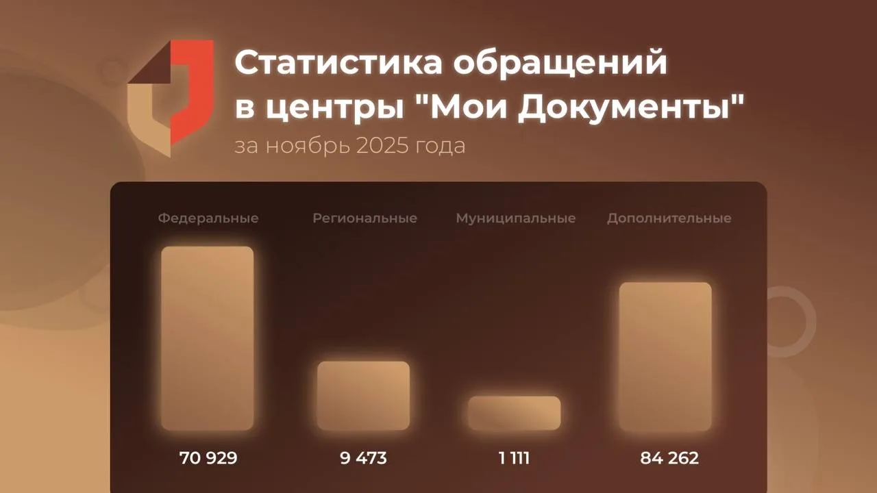 📊 Статистика обращений в центры «Мои Документы» Саратовской области за ноябрь 2025 года  Центрами го