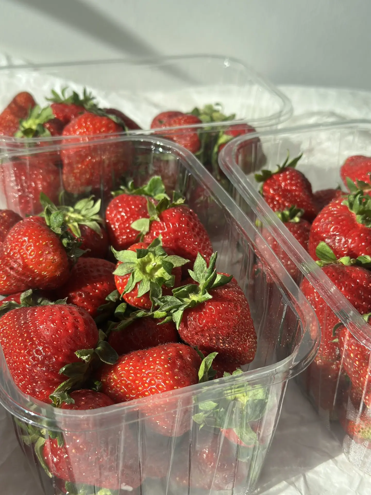 Поступление ягод 🍓

Приходите за самой сладкой клубникой с нашего питомника 💚

0,5 кг - 300₽ 

Пр.