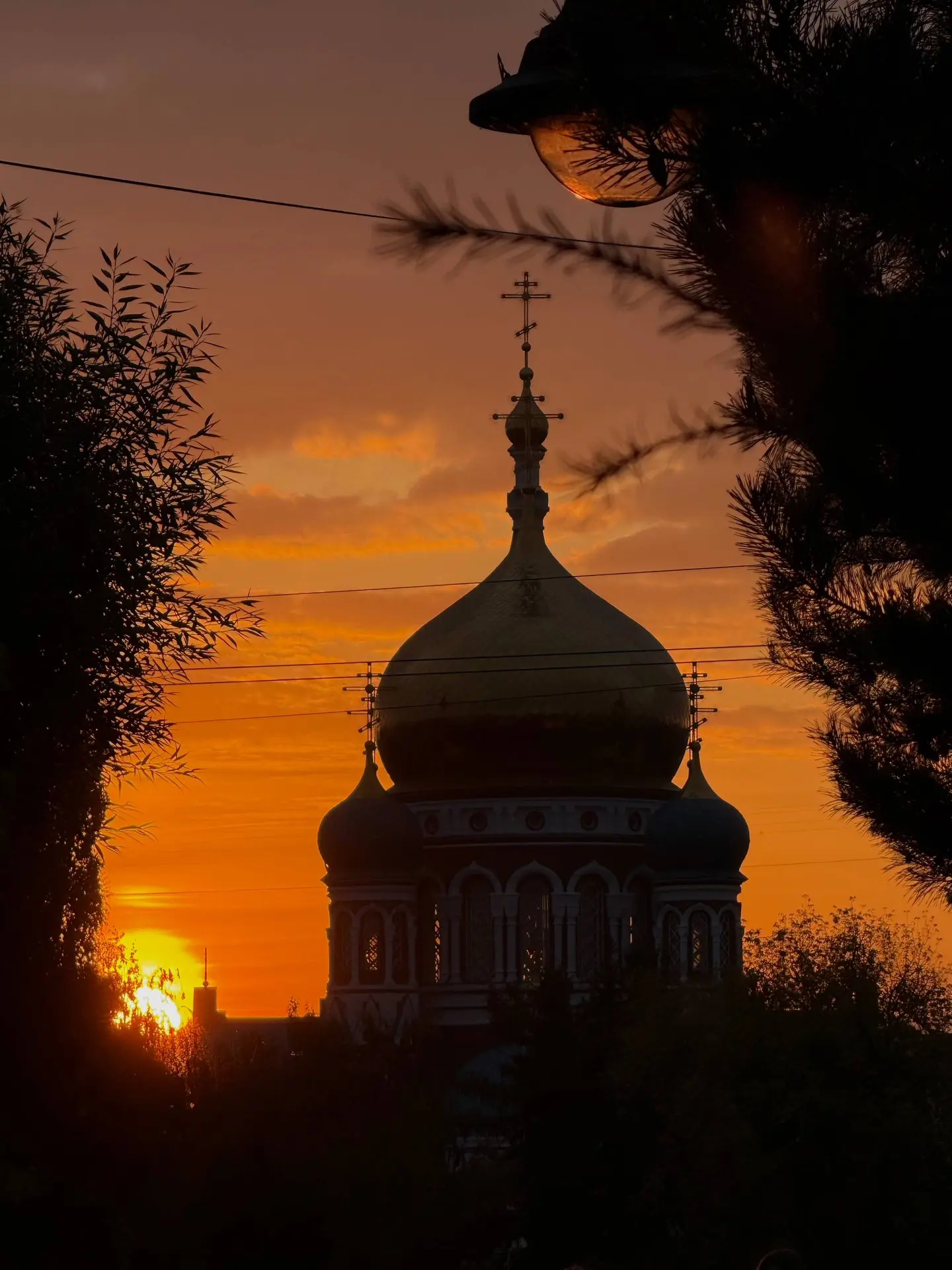#омскоефотонедели — итоги 🦊