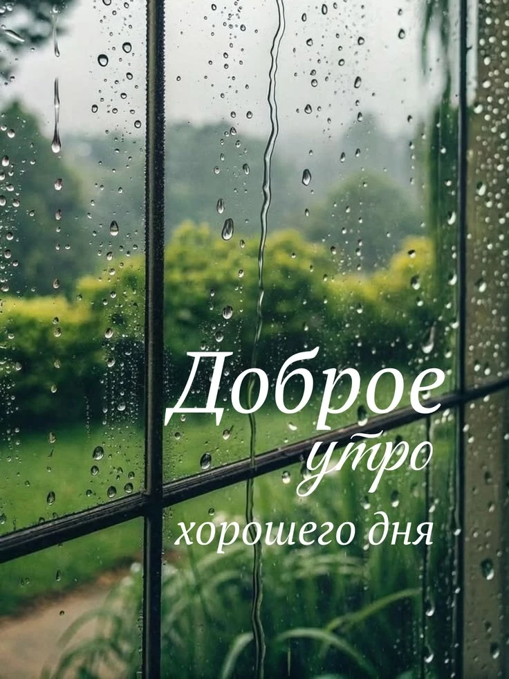 Доброе утро, волгоградцы 🩵