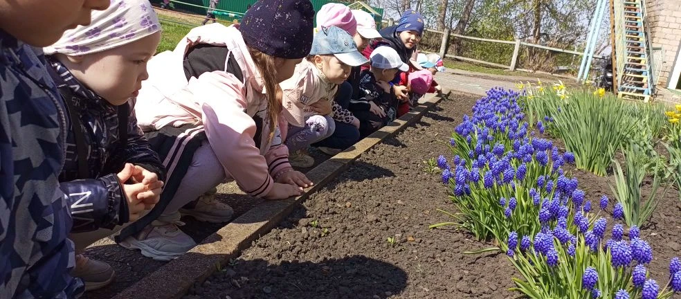 🌷Вот весенние цветы или первоцветы.