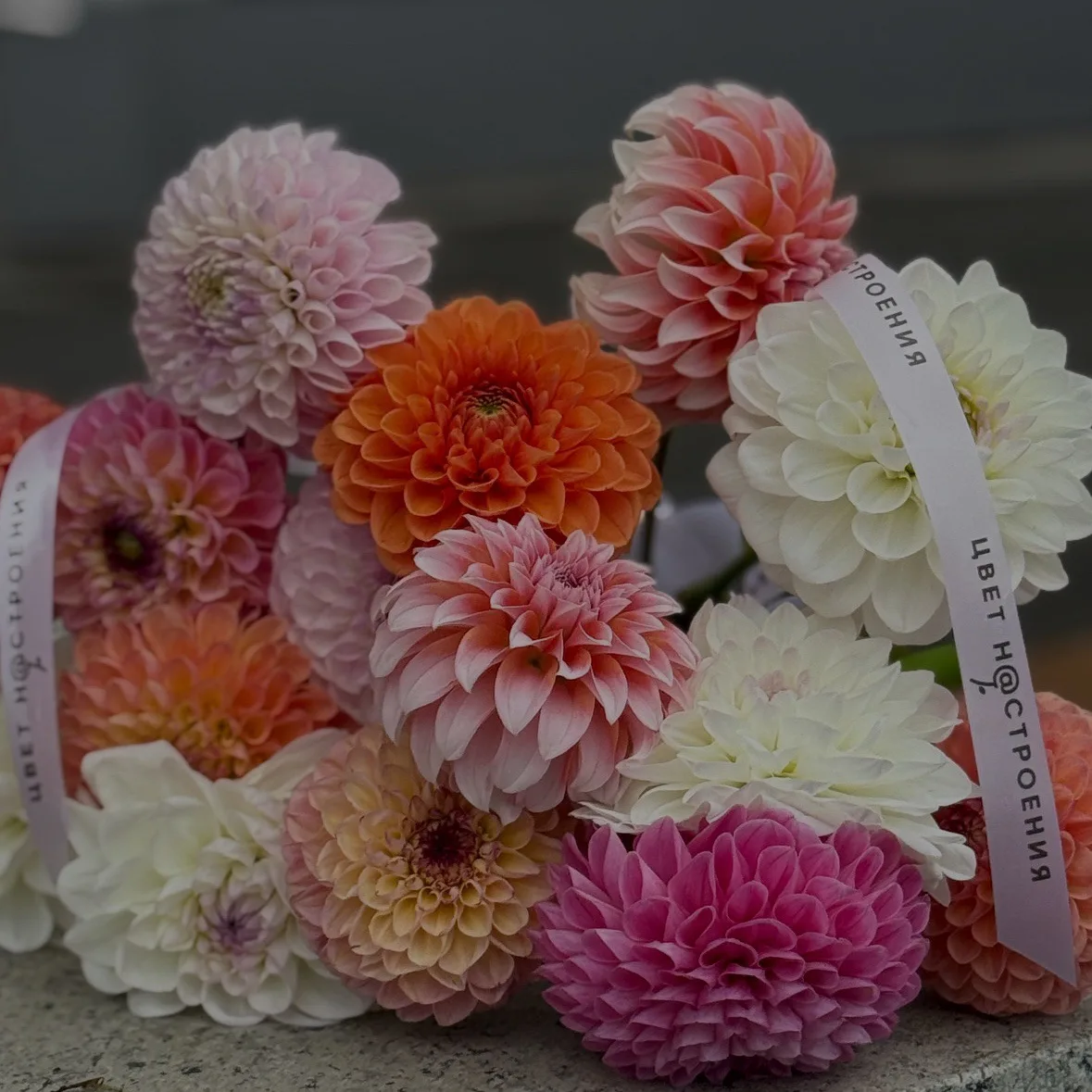 🌸 Цветы, которые не умеют быть незаметными