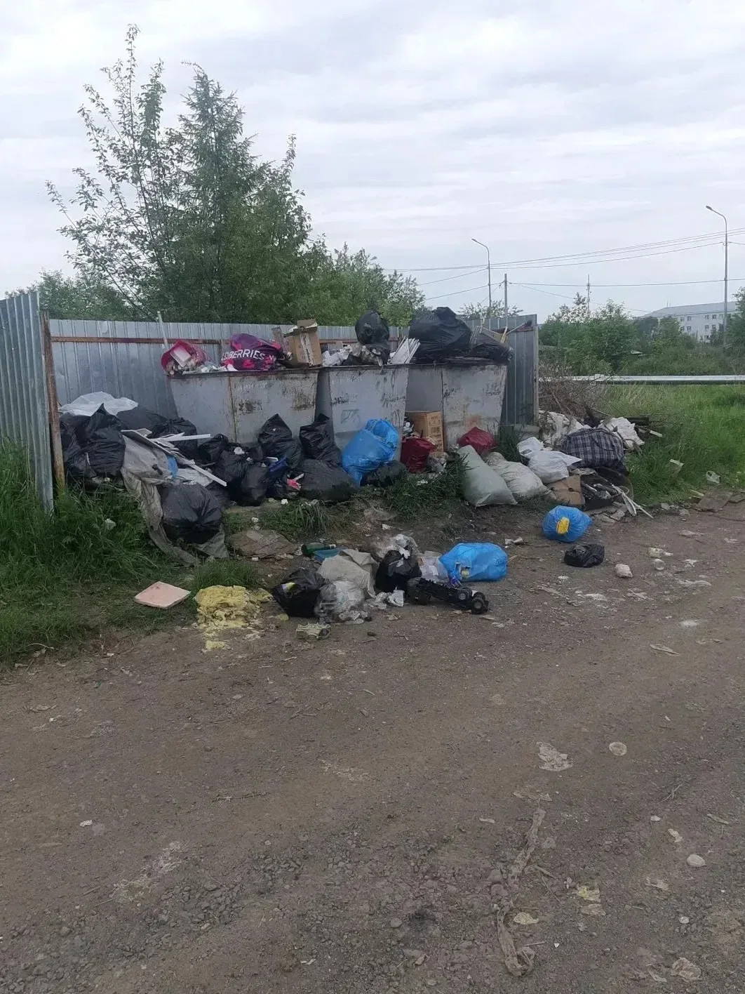 ♻️🗑️Сложившаяся ситуация с вывозом мусора в Сковородино требует незамедлительных решений

Жители го