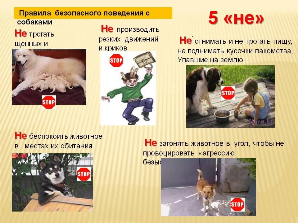 и замков — только у взрослых. Фурнитура должна быть переведена в режим «зимнего проветривания» (отки
