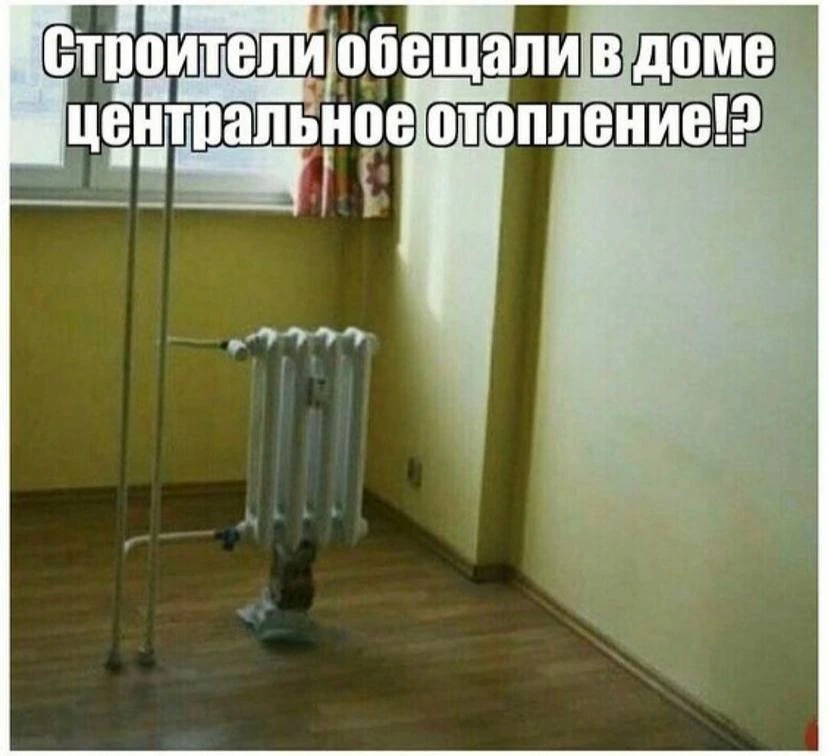 Ежик
