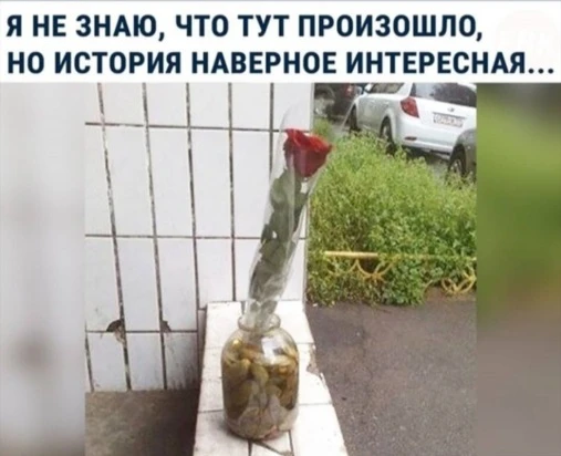 Из жизни 😅