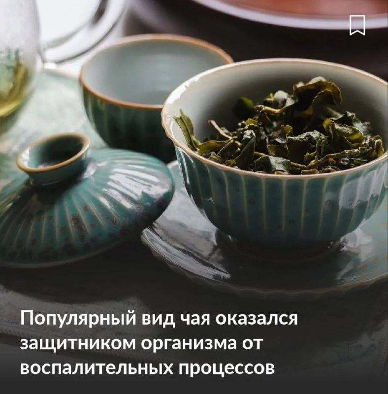 🍵 Тайваньские учёные раскрыли целебную силу улуна
