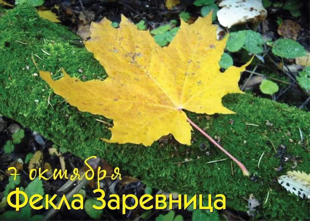 Народный календарь