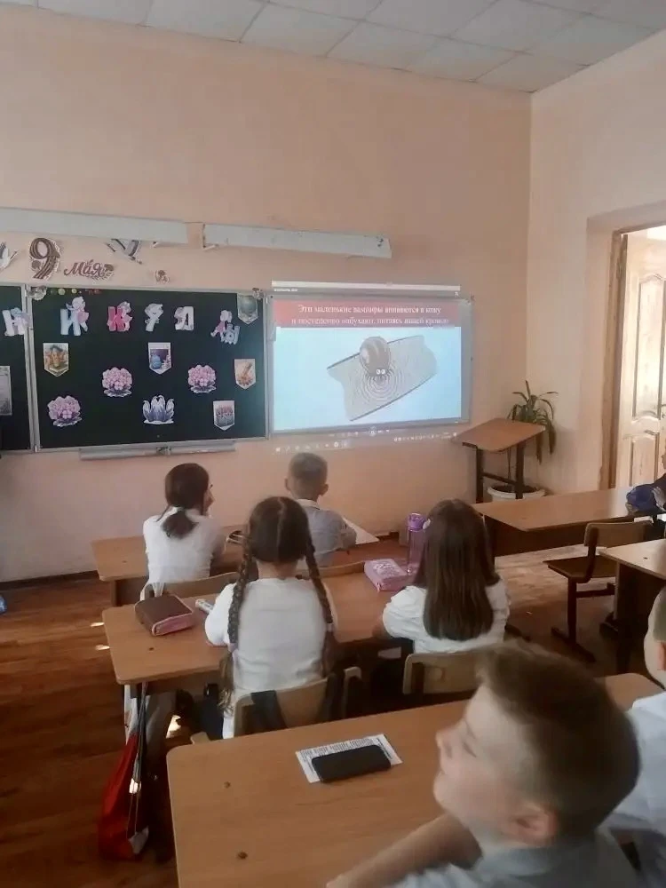 Профилактическое занятие в 3 «А» классе: Безопасность на каникулах!

В последний учебный день в 3 «А
