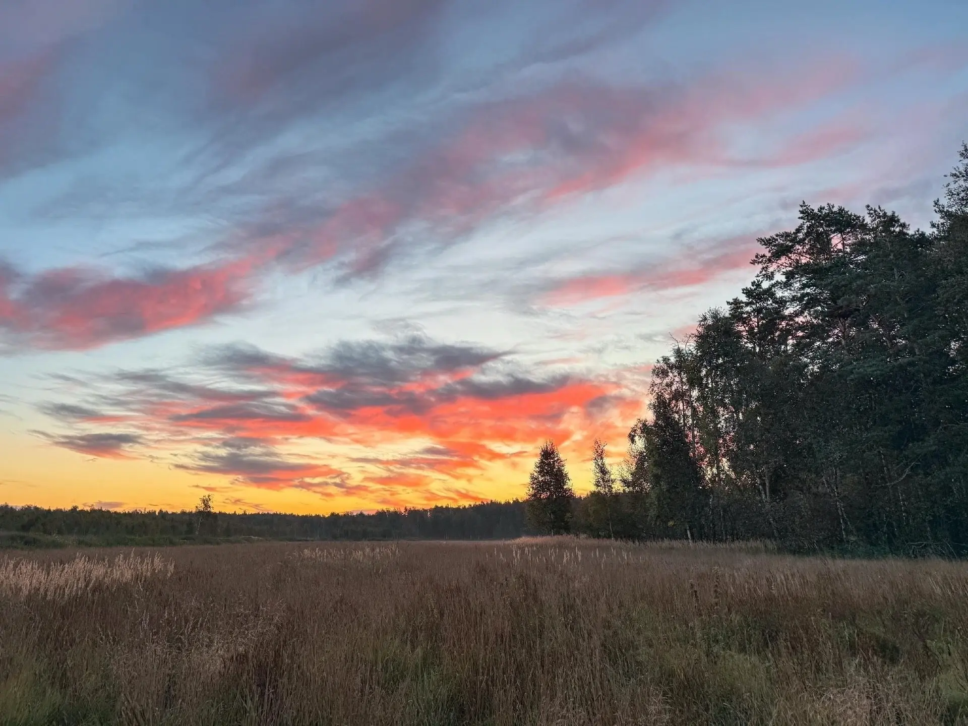 Волшебные мгновения рассвета 🌅✨