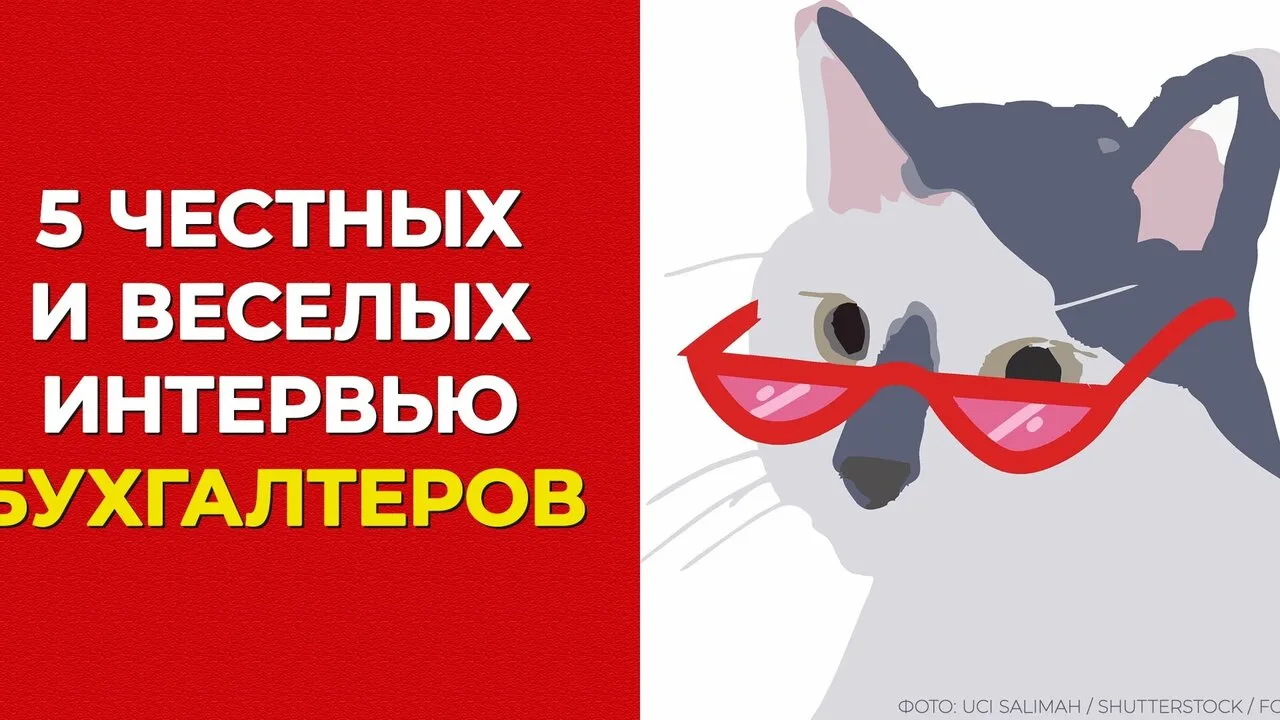 5 бухгалтеров рассказали, как им работается, живется и думается. Смотрите, какие у нас ...