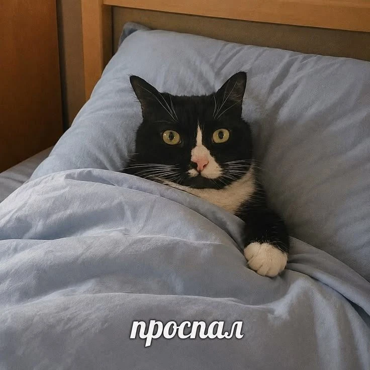 🐶 Полезный бонус к новой рулетке