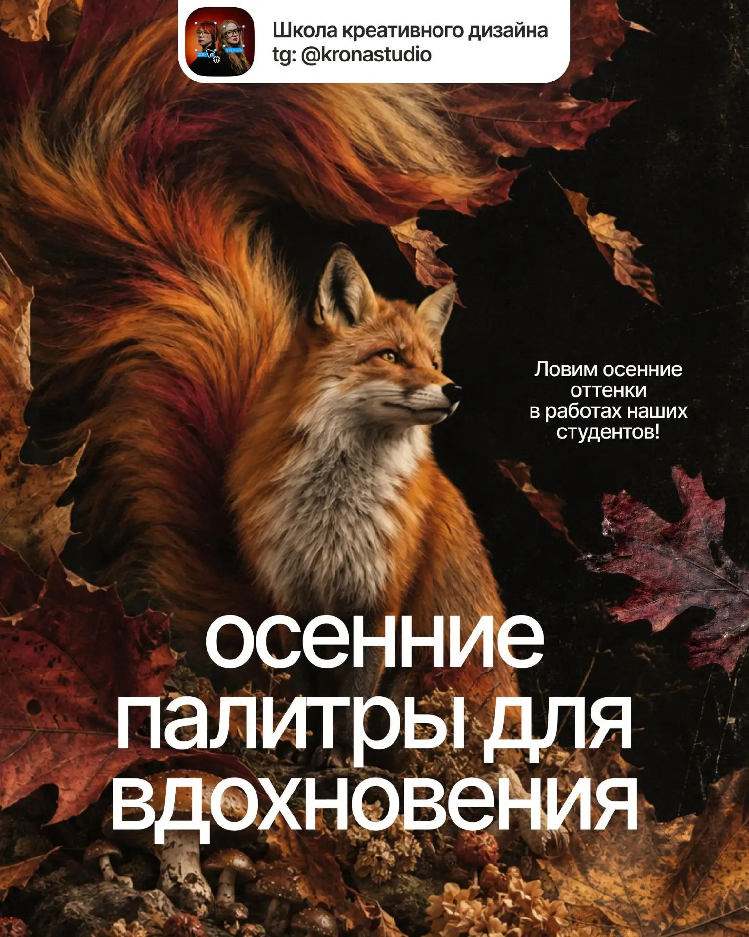 Цвета осени — не только в природе 🍂
