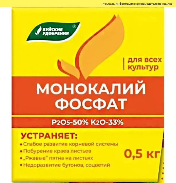 Хотите, чтобы розы цвели пышнее? 🌹