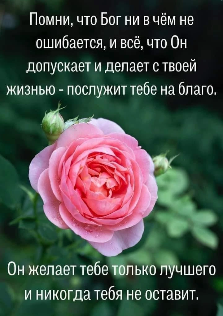 👠 Женская Территория
