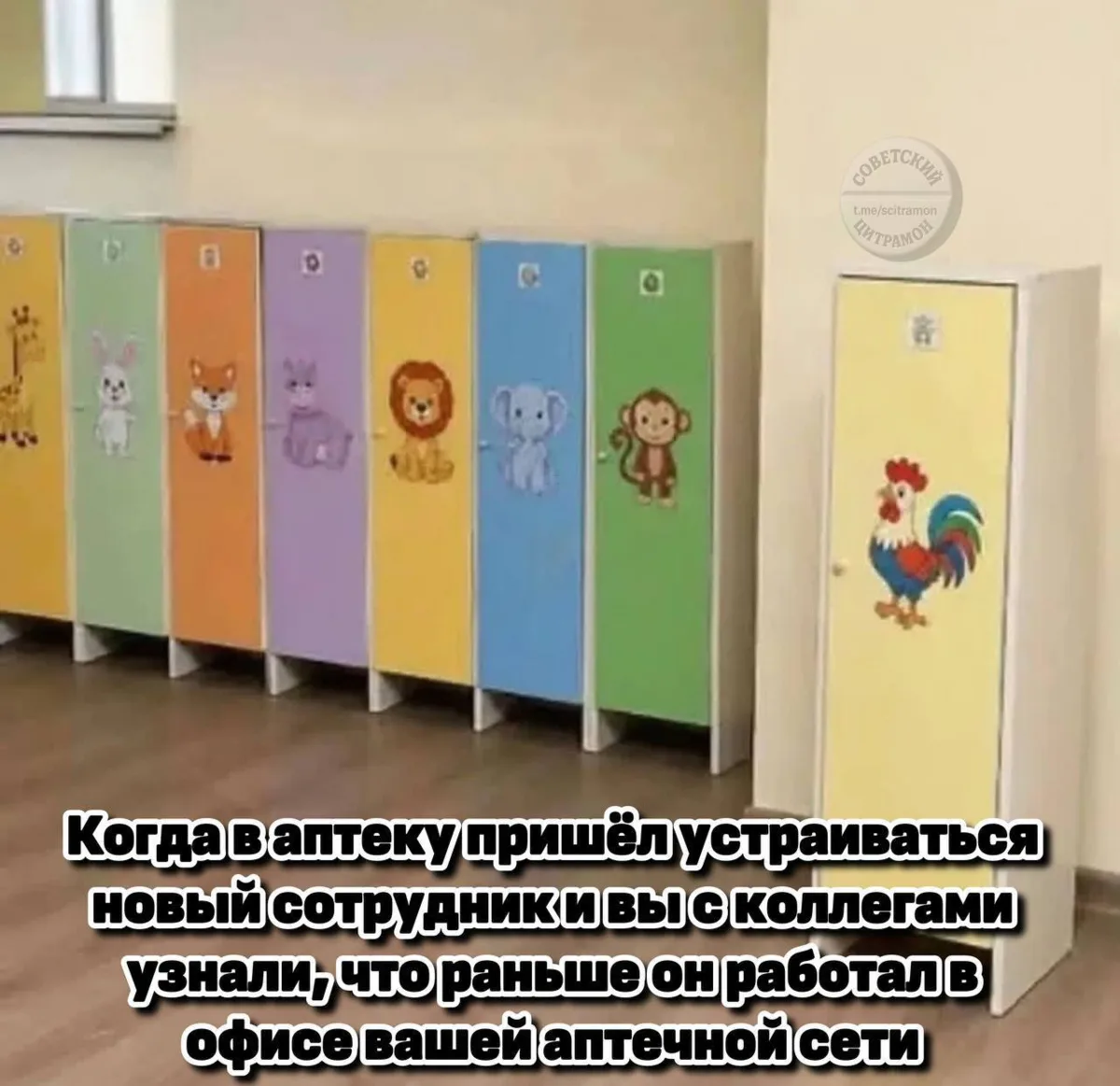 Цитрамон. Подписаться
