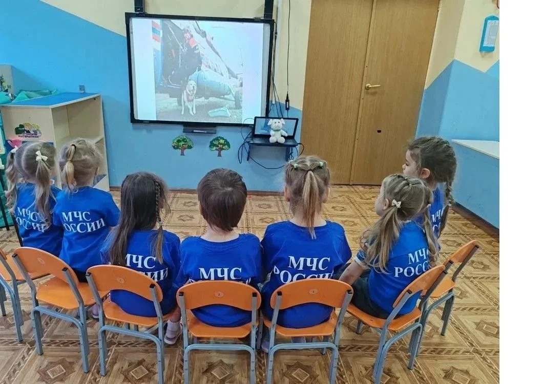 Международный день собак-спасателей! Это день, когда чествуют четвероногих героев, чья ...