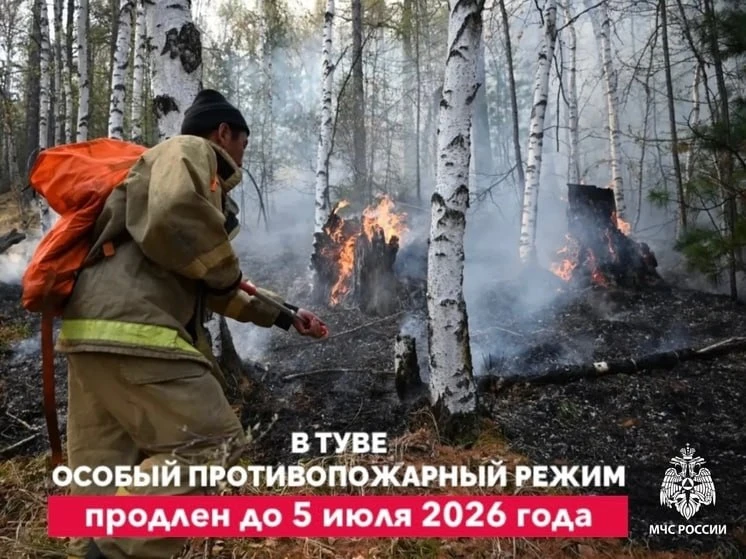Особый противопожарный режим в Туве продлён до 5 июля

В Республике Тыва продлён особый противопожар