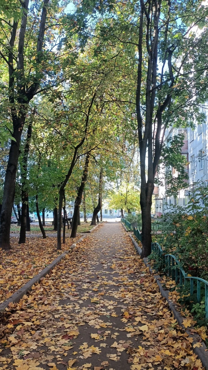 Доброе утро пятницы!