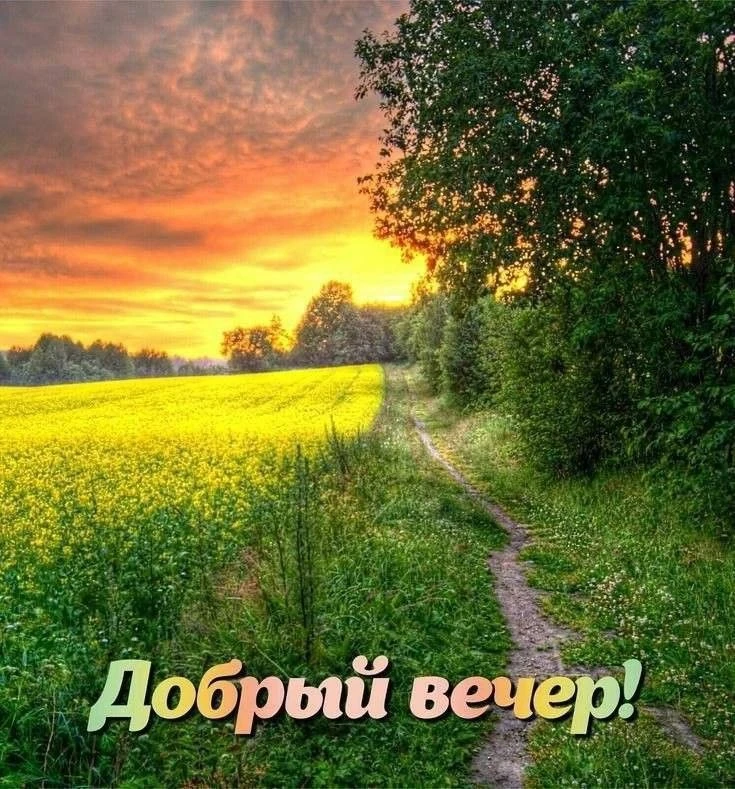 🔶🌿🔶🌿🔶🌿🔶🌿🔶🌿