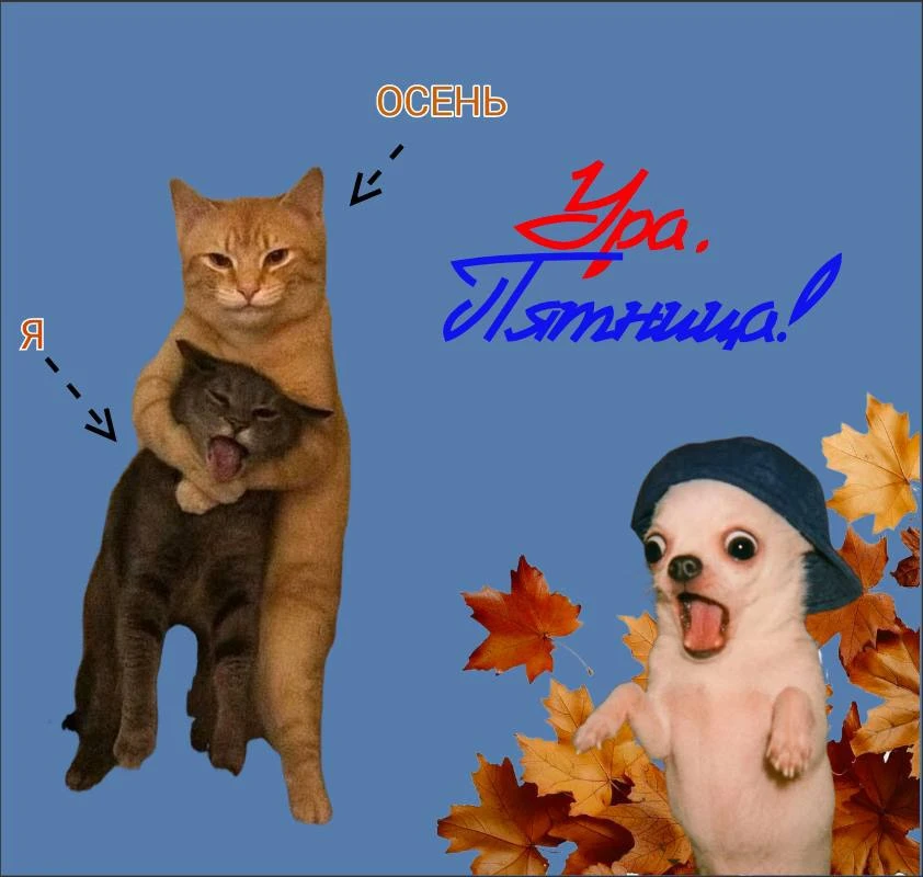 🍂 Первые выходные осени