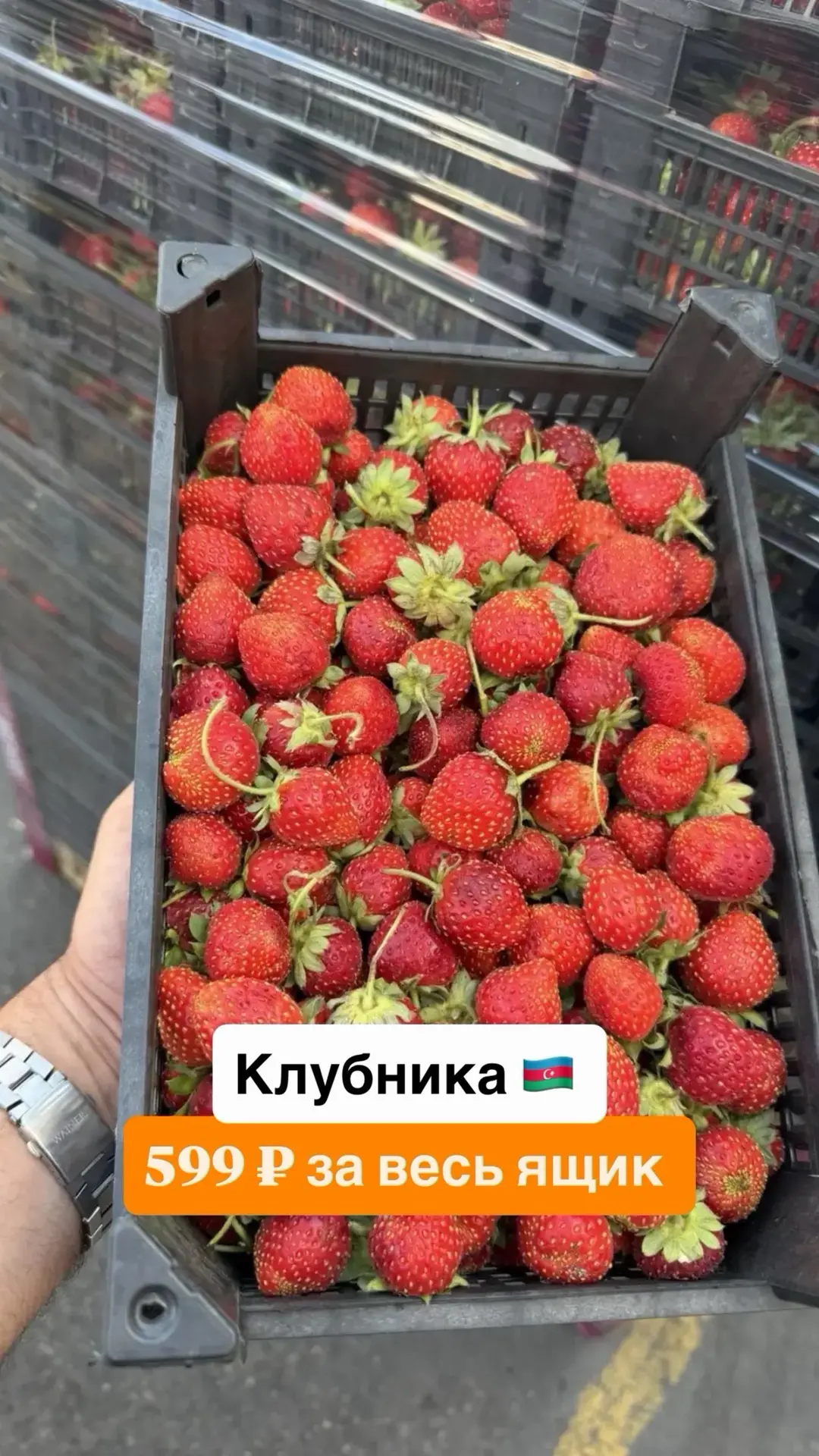 Вы на чьей стороне? 

Любители клубники или черешни? 🍓🍒

И то и то сегодня в наличии с 11:00