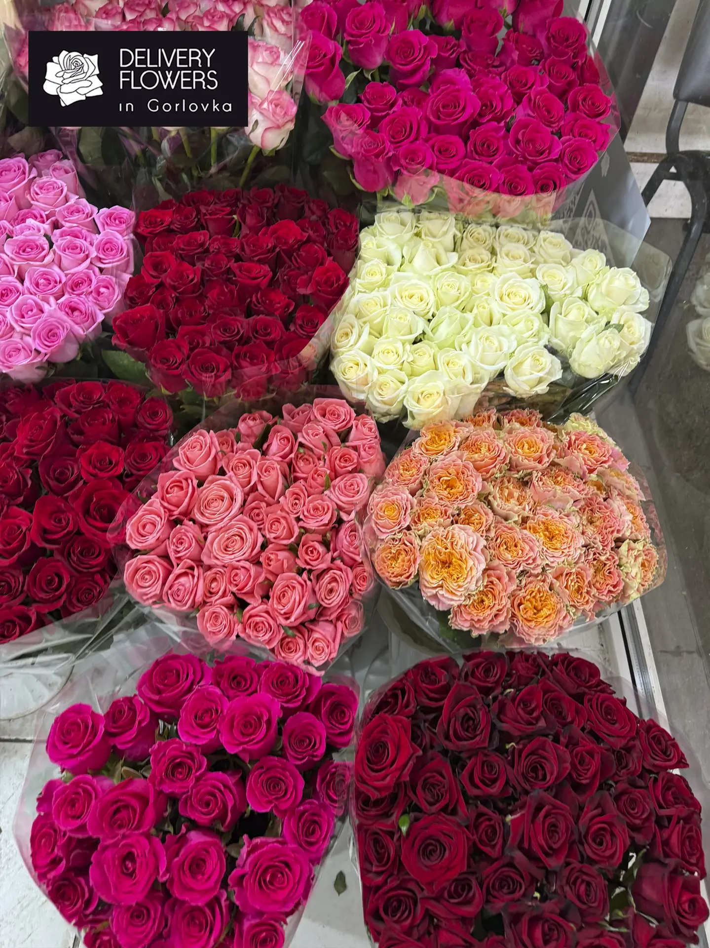🌹 Розы 50 см — 150 ₽