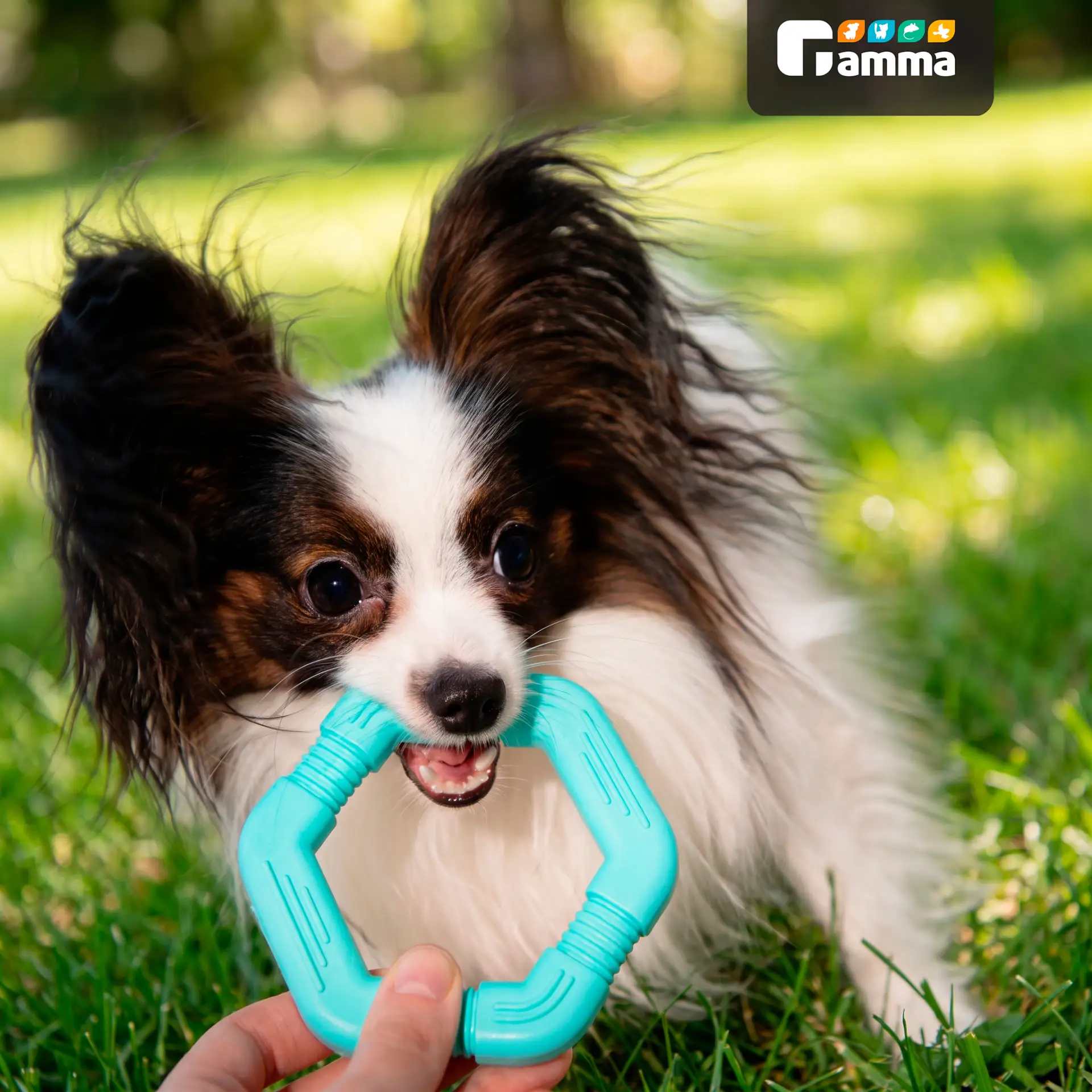 🐶 С Днем собаки!

Лучший способ отметить этот праздник — устроить идеальный день для своего четверо