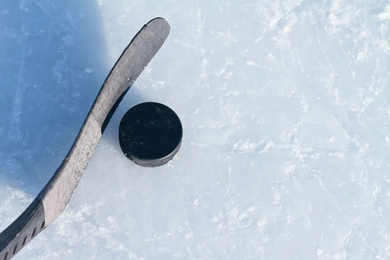 🏒 В Ярославле состоялся первый матч хоккейного межсезонья

В Ярославле прошел первый летний хоккейн