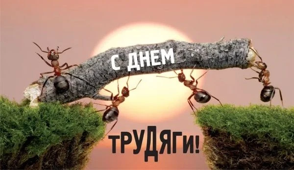 22 июля 2026 года отмечается День трудяги. Праздник посвящен трудоголикам – людям, которые постоянно