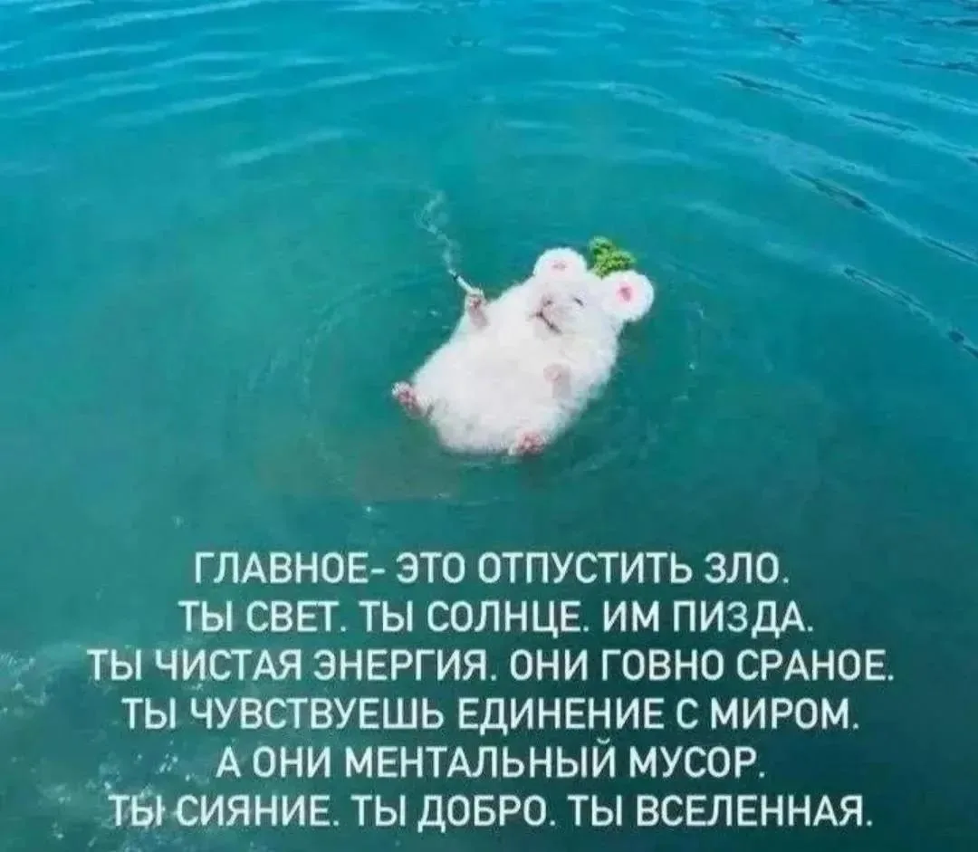 🌙 Как прошёл первый день?‌
