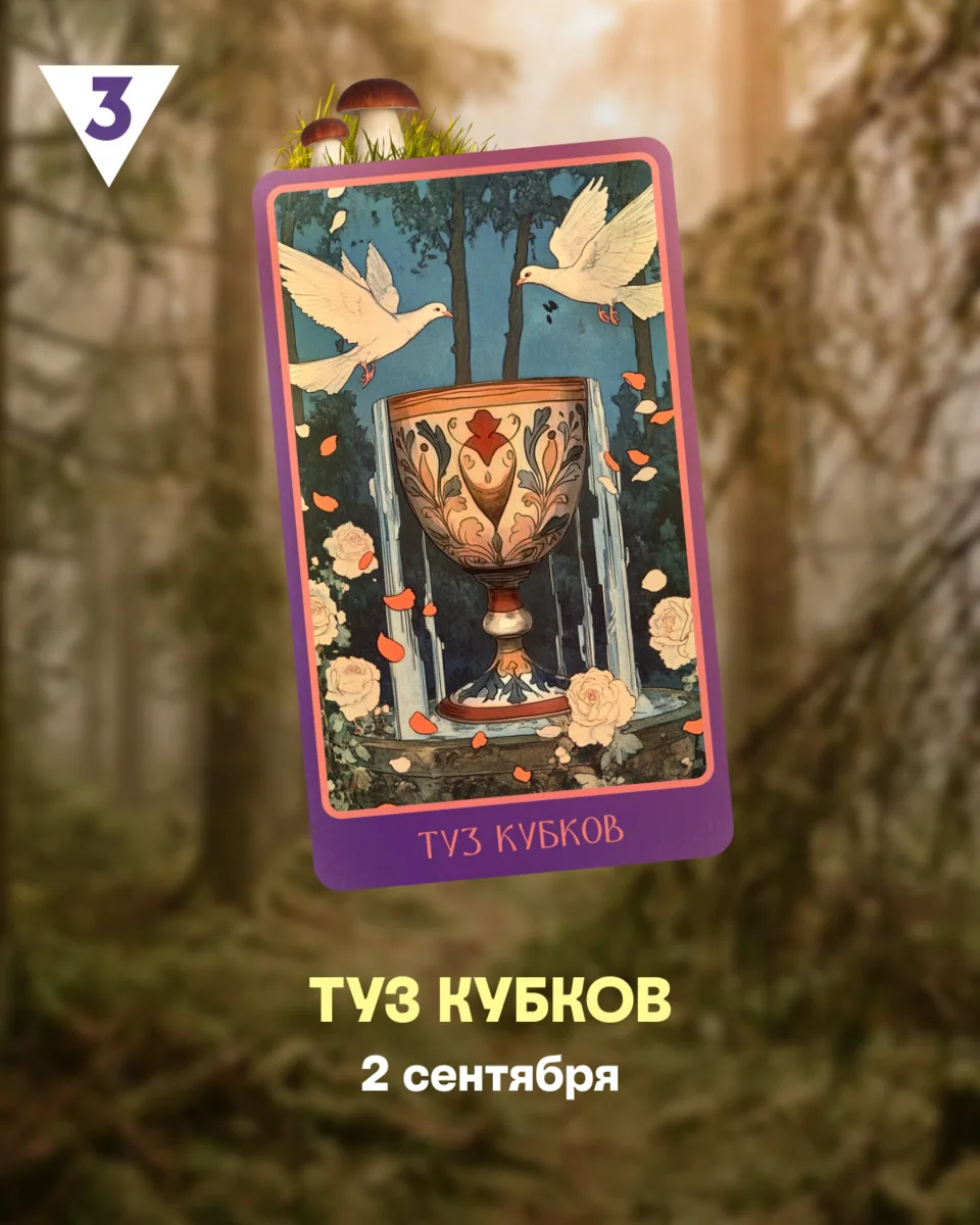 Во-первых, вы прекрасны. Во-вторых, это все, что нужно знать на сегодня.
