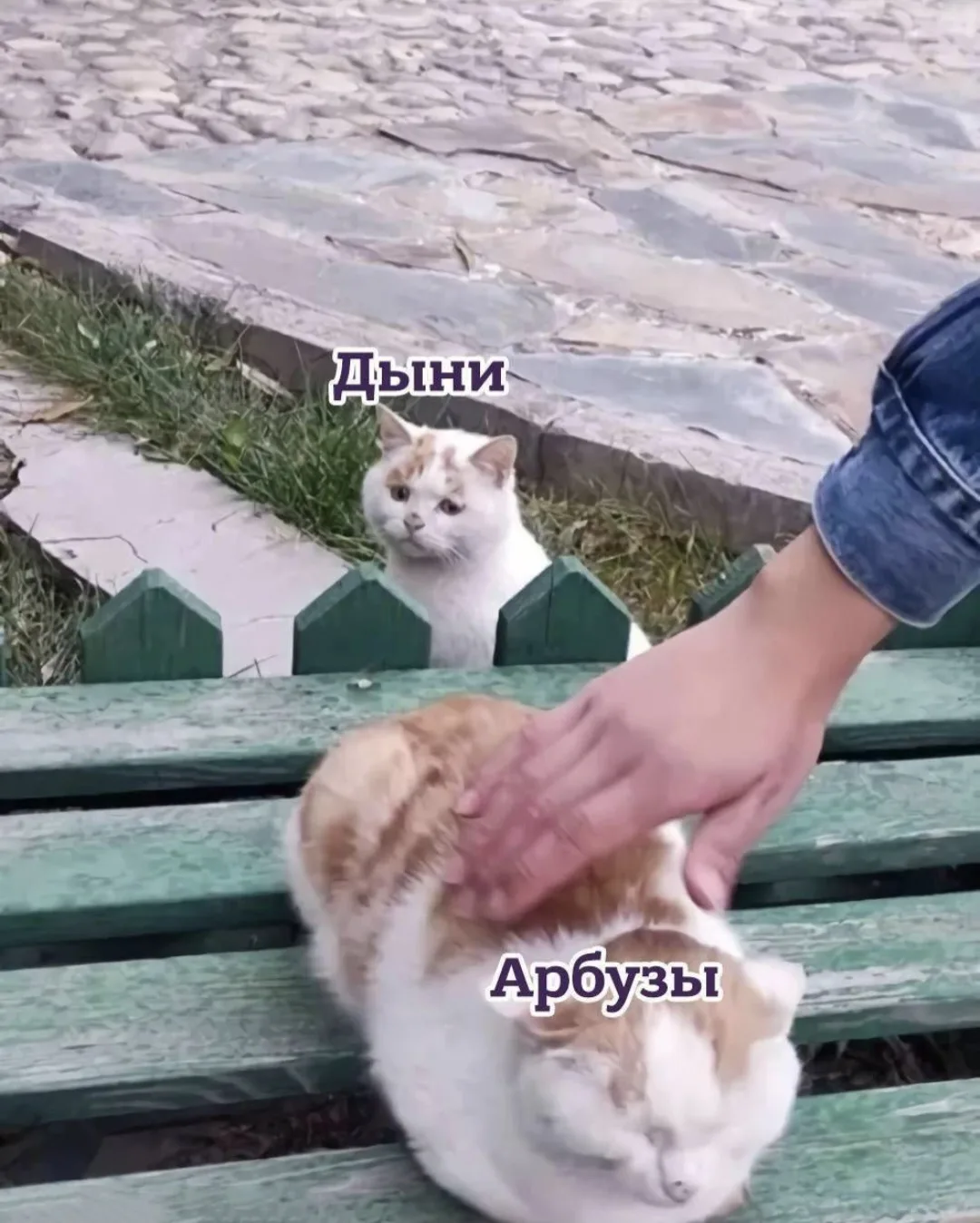☀️ Идёте за овощами и фруктами?