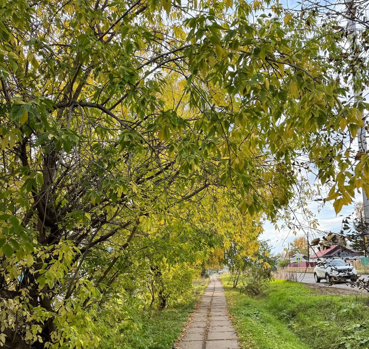 Погода в Вихоревке 01 октября 🍁
