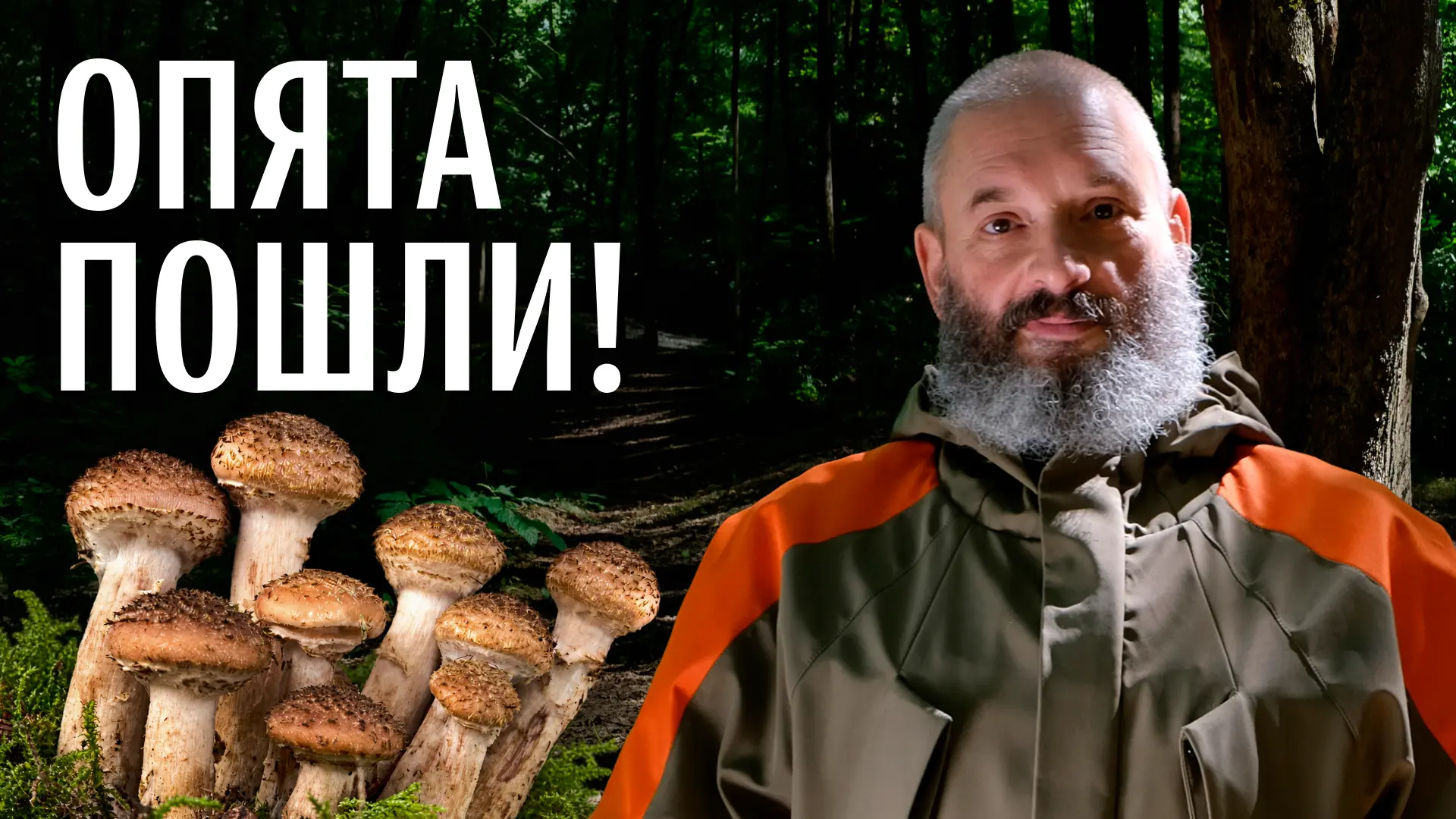 Новое видео Михаила Вишневского