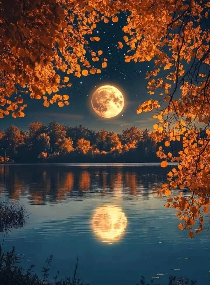 Всем добрых сновидений 🌙
