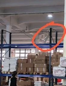 ~ пол года назад, мы услышали под лестницей в раздевалке, - жалобное «мяу».   Так, у нас появился - 