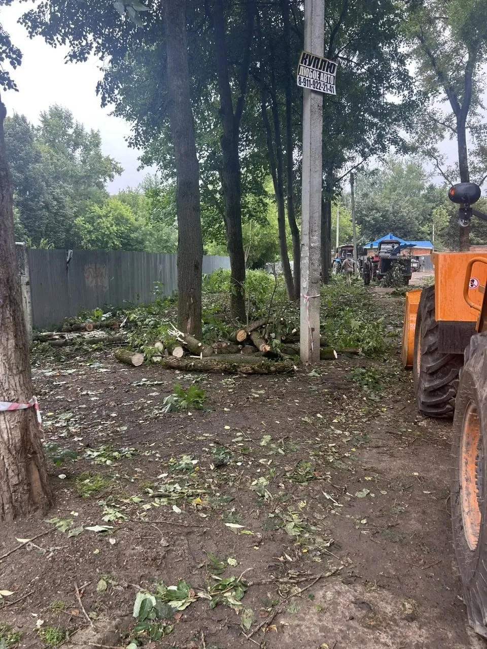 На ул. Инженерная, 6 продолжается вырубка деревьев. Жители недовольны, так как обещали оставить толь