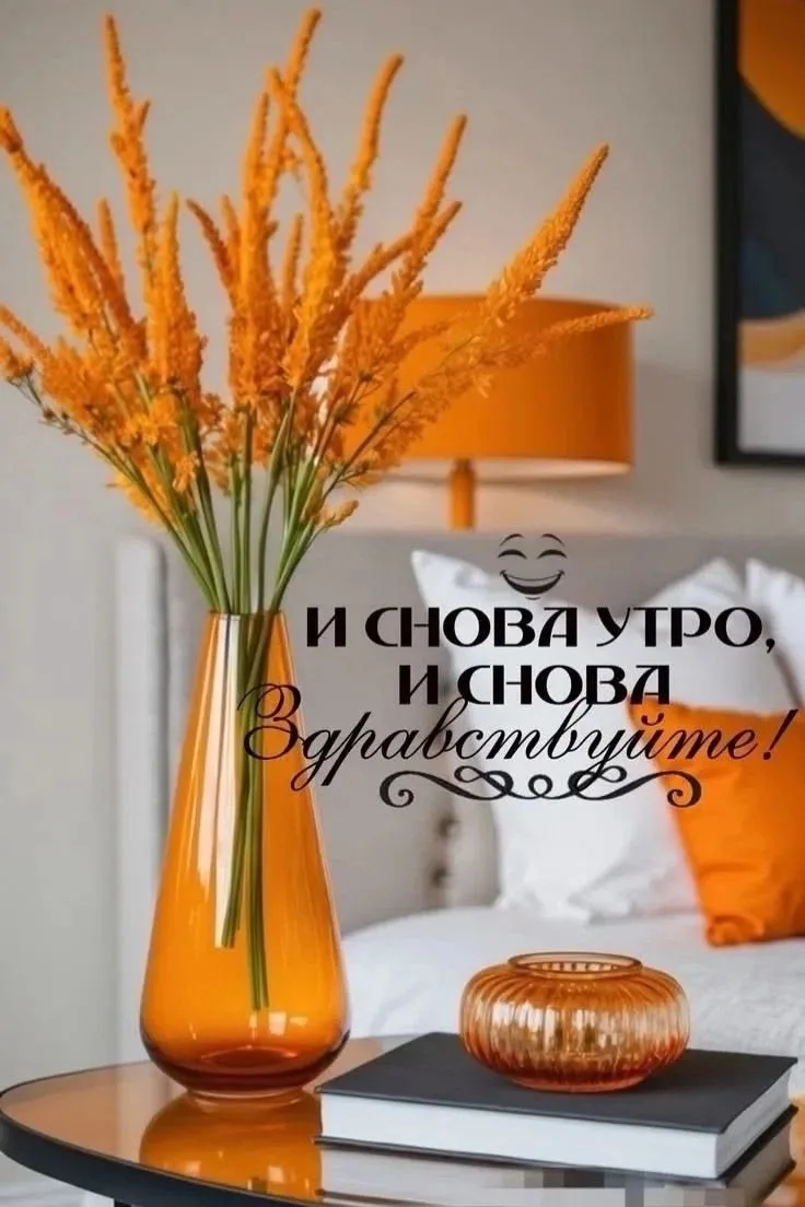 Всем большой привет 🤗