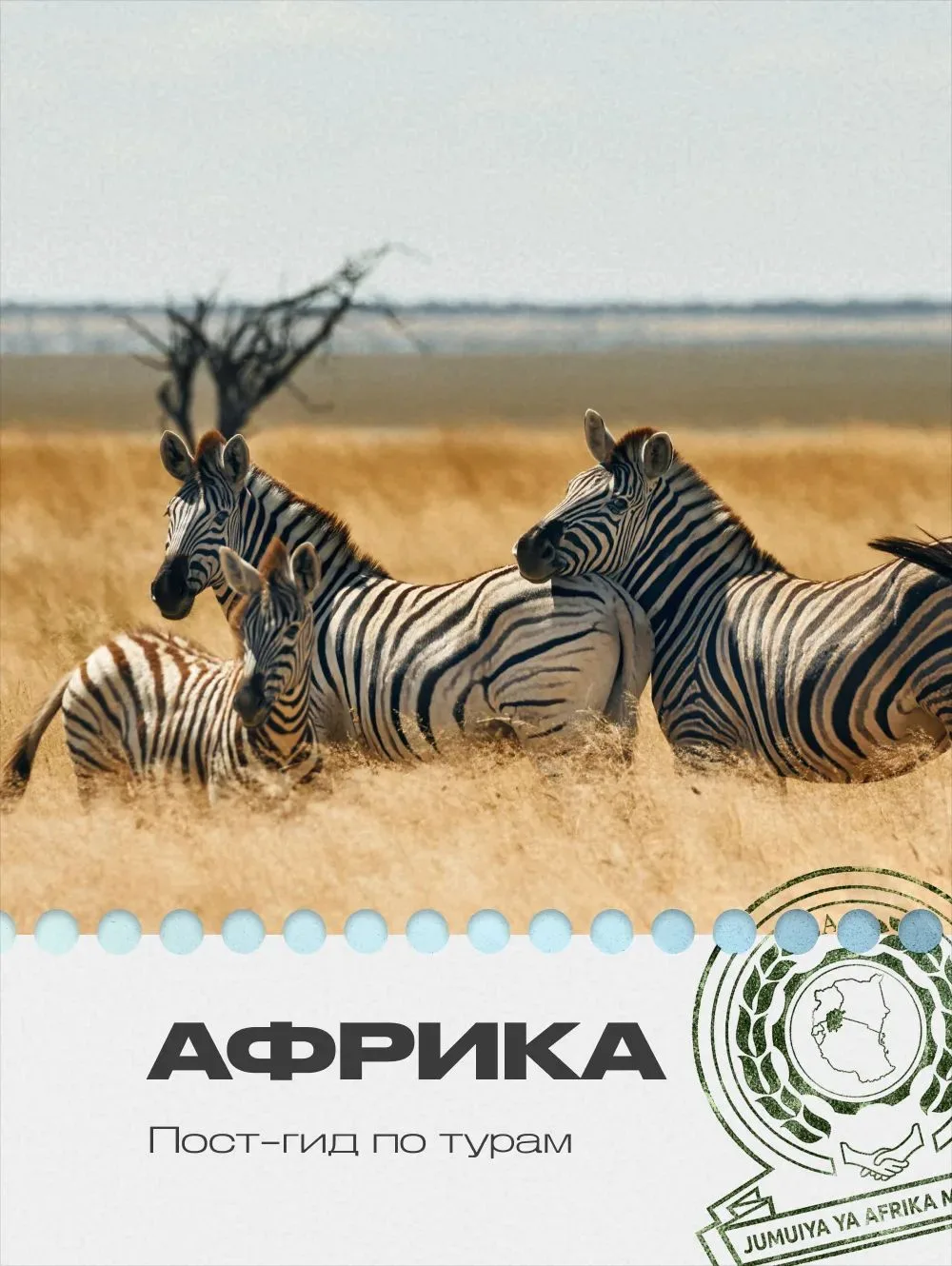 🐆Сафари — это не просто отдых на природе, а возможность увидеть вживую то, что обычно ...