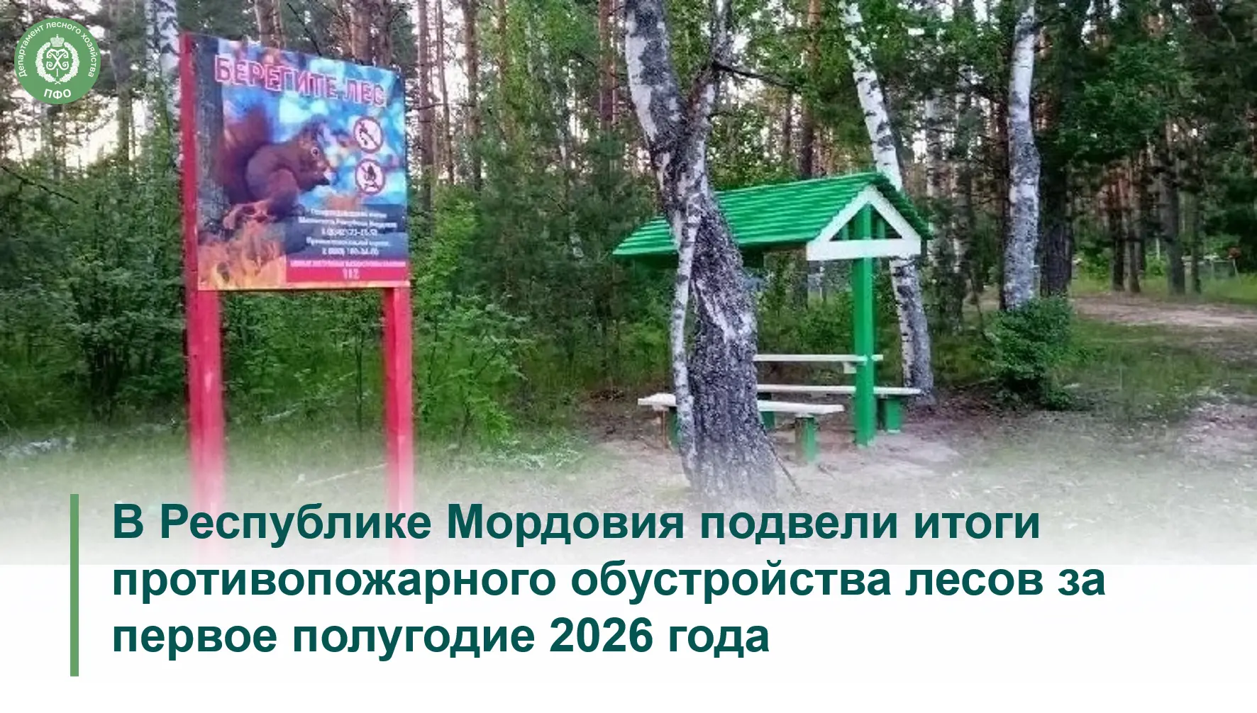 🟢 В регионе подведены результаты работ на землях государственного лесного фонда. Все мероприятия пр