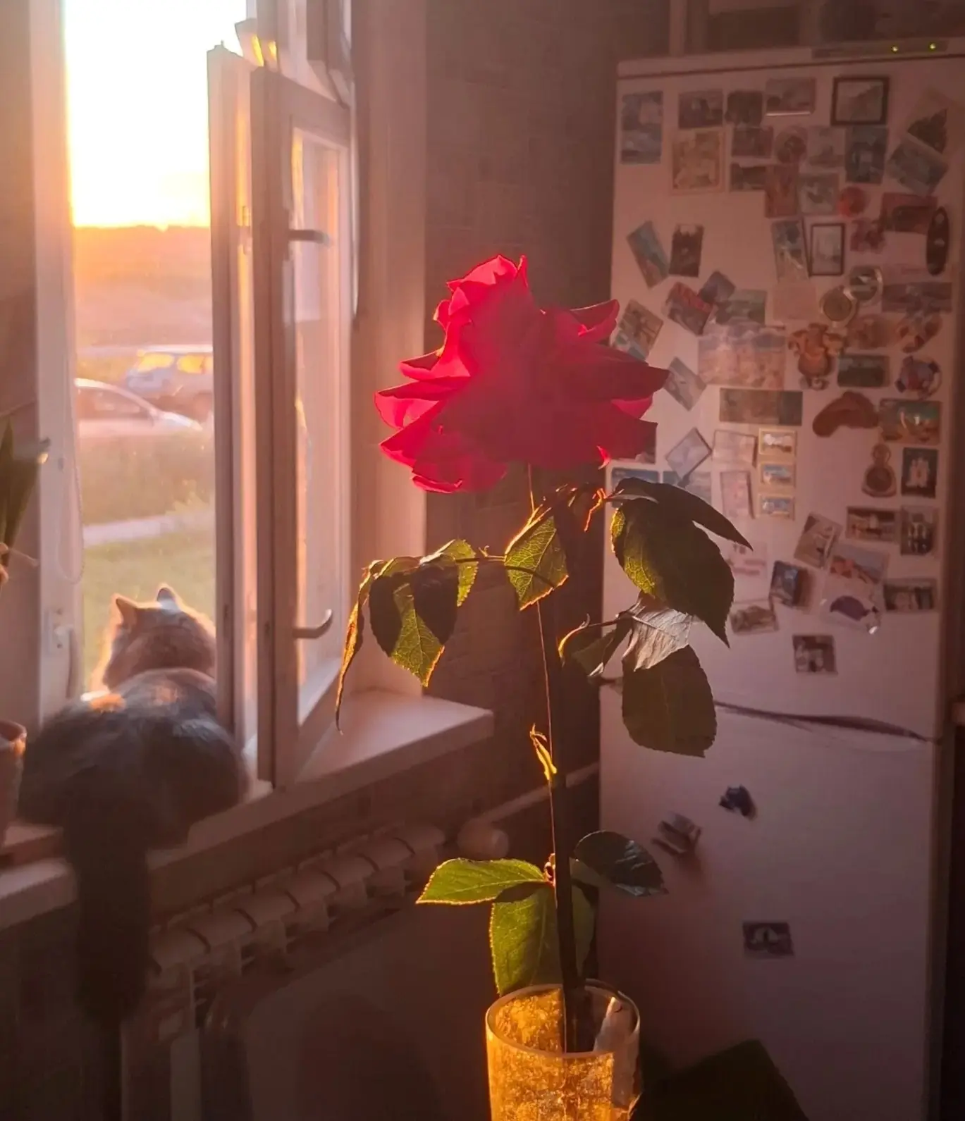 Доброе утро, Дорогие Друзья ❤️.
Спасибо всем огромное за поздравления и пожелания, было очень приятн