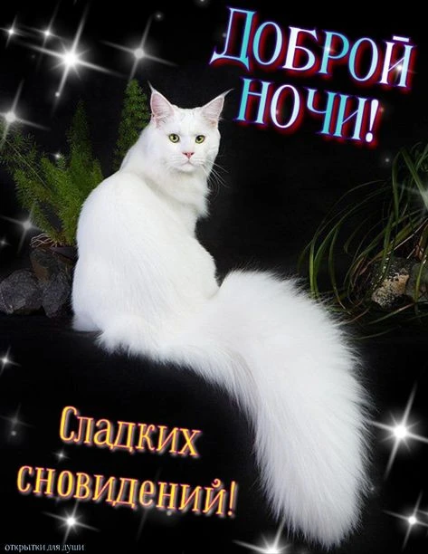 Вам не сложно мне приятно 😉