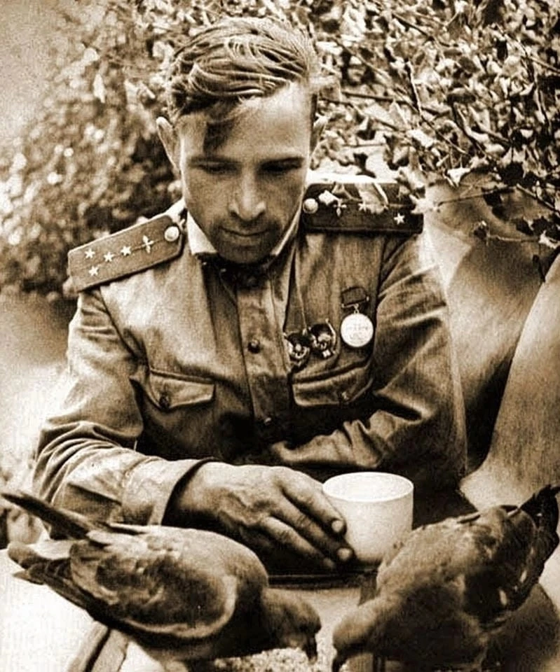 Советский летчик, штурман
Виктор Попов, кормит голубей в минуты отдыха .

Виктор Васильевич Попов — 