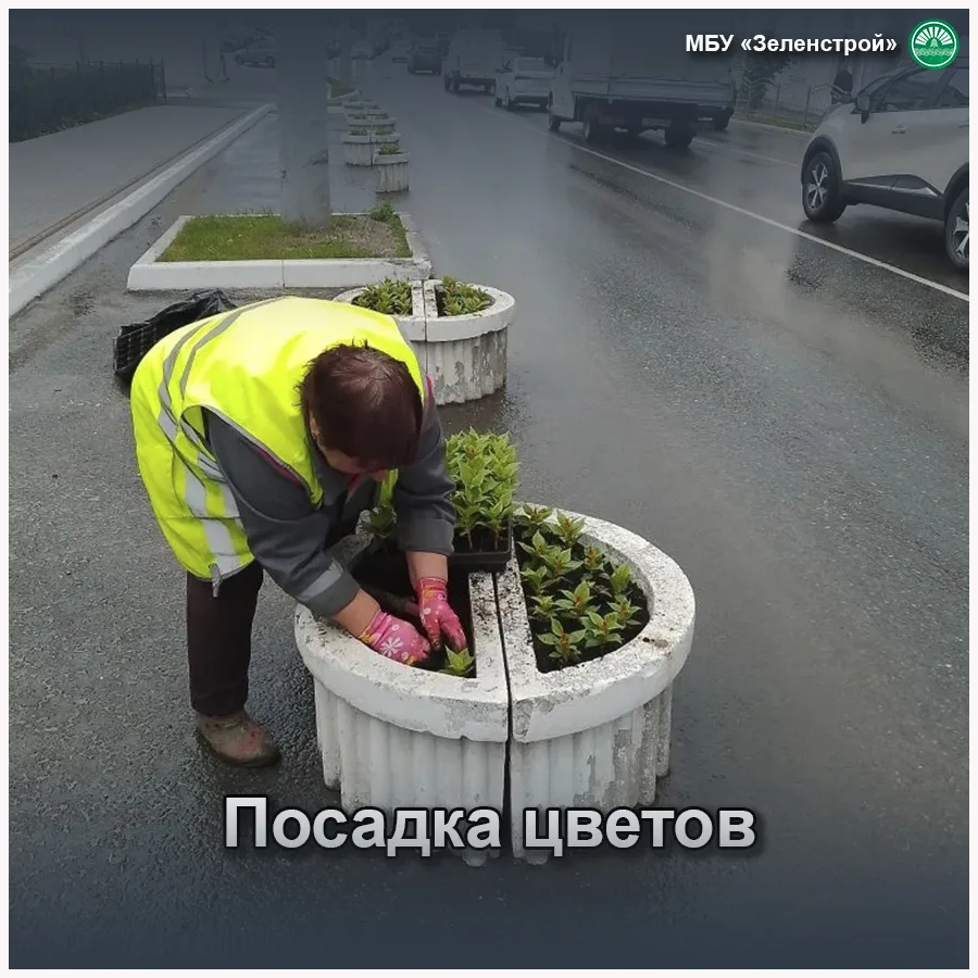 Продолжаем высаживать цветы в скверах и парка, на бульварах и аллеях.